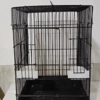 قفس عروس و مرغ عشق