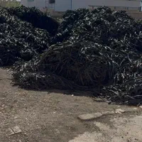 ضایعات نوار تیپ باغ