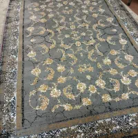 فروش فرش ۶متری ۷۰۰شانه