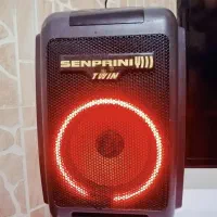 گمشده (مژدگانی داده میشود)