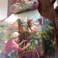 پیش بند و دستکش فر ( طرح کلاسیک)