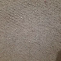 زمین ۵۰۰متری شهر سرگز احمدی پشته کنجی