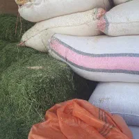 خوراک دام