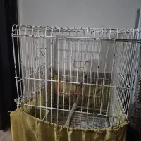 قفس بزرگ پرنده