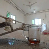 گچکاری پذیرفته میشود