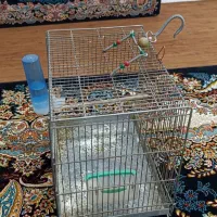 قفس|لوازم جانبی حیوانات|همدان, |دیوار