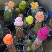 هدیه روز زن - گل‌فروشی گل نرگس|گل و گیاه طبیعی|کوهدشت, |دیوار