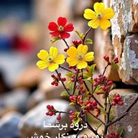 حرکت به تهران یکشنبه با سمند