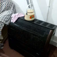 بخاری سالم جدید ایران شرق