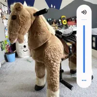 اسب اسباب بازی