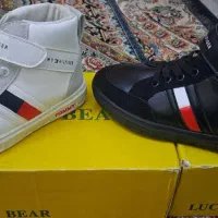 کفش بچه گانهTOMMY|کیف، کفش، کمربند|شیراز, شهرک بهشتی|دیوار