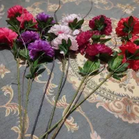 تعدادی شاخه گل