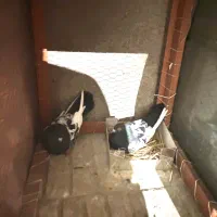 فروش کفتر|پرنده|شیروان (خراسان), |دیوار