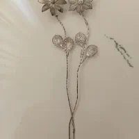 گل نقره