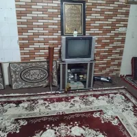 تلوزیون