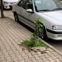 پارس TU5 تک برگ سند|خودرو سواری و وانت|رشت, بوسار|دیوار