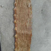 کارگر نان روغنی