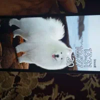 گوشی پوکو c65