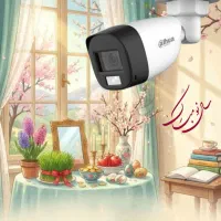 دوربین مدار بسته داهوا دید در شب رنگی