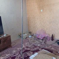 رگال یا رخت اویز