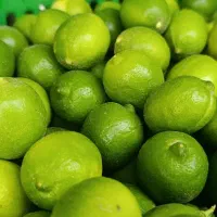 لیمو تازه درجه یک خورموج
