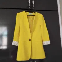 پالتو دوتاکت مجلسی