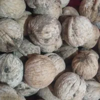 گردو مخصوص فسنجون