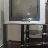 تلویزیون/ کامیپوتر