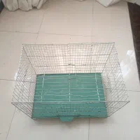 قفس عروس هلندی و پرنده