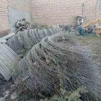 سیم کشاورزی