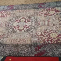 قالی ۴متری|فرش|مسجد سلیمان, |دیوار