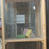 قفس ایستاده
