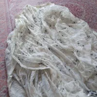 پرده ۱۴ متر|پرده، رانر، رومیزی|گلبهار, شهر جدید گلبهار|دیوار