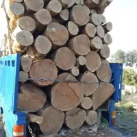 خریدتنه الوار قطعه حرفه ای درخت چوب داخل دربندبیشه