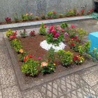 خدمات باغبانی گل کاری سراسر ایران