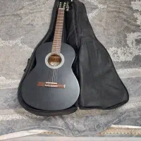 گیتار اصل هندی