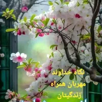 اطراف حرم سه طبقه دو دانگی فروش