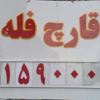 قابلو سازی قارچ|تابلو، نقاشی، عکس|تهران, شهمیرزادی|دیوار