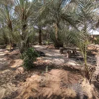 اجاره ویلاباغ|اجارهٔ کوتاه‌مدت ویلا و باغ|بهبهان, |دیوار