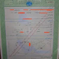 زمین ۴۵۰۰ متری واقع در نیاسر- تهاتر|فروش زمین و ملک کلنگی|نیاسر, |دیوار