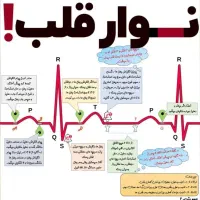 تدریس خصوصی زیست‌شناسی دبیرستان
