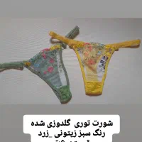 لباس،زیر|لباس|رشت, دیانتی|دیوار