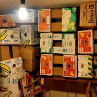 فروش تعداد بالا کارتن موز سالم