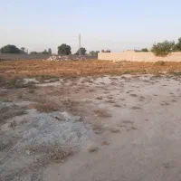 زمین مناسب ویلا و گلخانه و باغ و دامداری