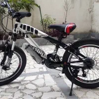 دوچرخه سایز 20