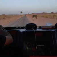 راننده تریلی.مدارک کامل.تجربه با انواع کشنده