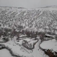 فروش زمینی نقلی
