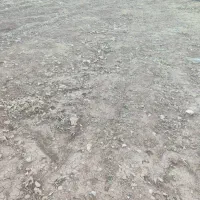 فروش زمین کشاورزی|فروش زمین و ملک کلنگی|ویسیان, |دیوار