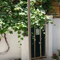 فروش خانه ویلایی فوری|فروش خانه و ویلا|رشت, حمیدیان|دیوار