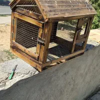 قفس قناری مرغ عشق...|لوازم جانبی حیوانات|کرمانشاه, |دیوار